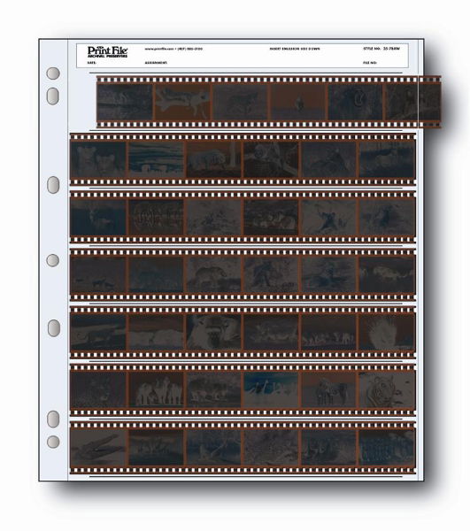 Holds seven 35mm strips of 6 frames, 42 frames total