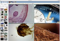 DinoCapture Digital Microscope Software