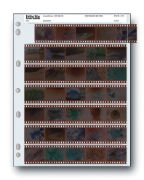 Holds seven 35mm strips of 5 frames, 35 frames total