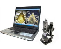 Microscope in use