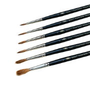 Conservation Brushes