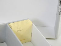 Coin Collector Envelopes - 4 Flap